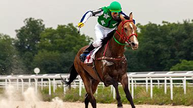 Watch Harness Racing & Replays .